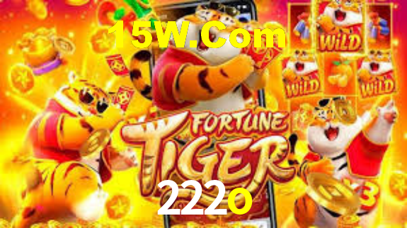 Interface Premium 222o